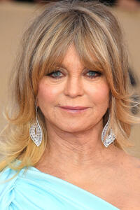 Goldie Hawn at the 24th Annual Screen Actors Guild Awards in Los Angeles.