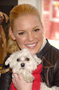 Katherine Heigl at the third Annual Pedigree Adoption Drive in N.Y.