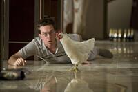 Ed Helms as Stu in "The Hangover."