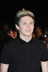 Niall Horan at the NRJ Music Awards 2013 during the Palais des Festivals.