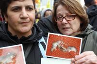 Josiane Balasko at the demonstration in support of poorly housed families who have been squatting in front of the "Ministry for the Housing Crisis" an empty bank building.