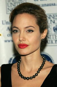 Angelina Jolie at the United Nations Association Annual Dinner.
