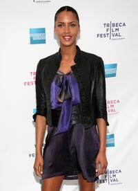 Noemie Lenoir at the premiere of "Hotel Gramercy Park" during the 2008 Tribeca Film Festival.