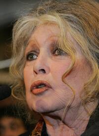 Brigitte Bardot at a campaign against Seal-Hunting.