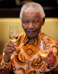 Nelson Mandela at the lunch to Benefit the Mandela Children's Foundation.