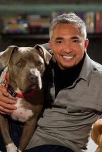 Cesar Millan in "The Back-Up Plan."