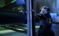 Blaster in "G-Force."