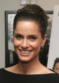 Amanda Peet at the N.Y. premiere of "The Ex."