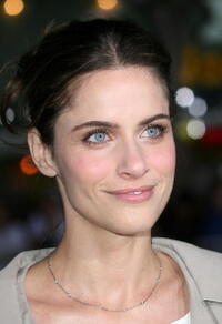 Amanda Peet at the L.A. premiere of "The Kingdom."