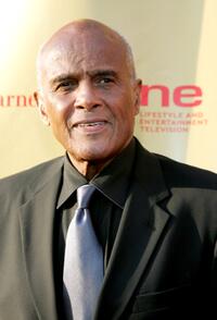 Harry Belafonte at the Apollo Theater 2005 Spring Benefit "The Magic Live On".