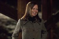 Mary Lynn Rajskub in "Sunshine Cleaning."