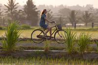 Julia Roberts as Liz Gilbert in "Eat, Pray, Love."
