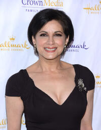 Saundra Santiago at the Hallmark Channel and Hallmark Movie Channel's "2013 Winter TCA" Press Gala.