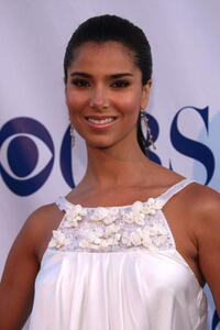 Roselyn Sanchez at the CBS Summer "Stars Party 2007."
