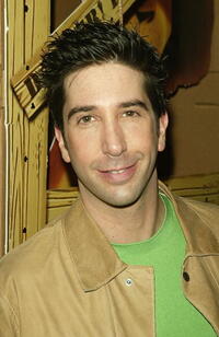 David Schwimmer at the premiere of "Madagascar".