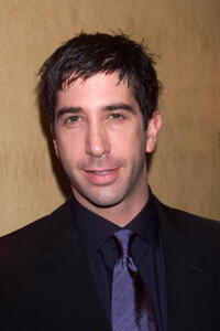 David Schwimmer at the premiere of "Uprising".