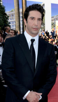 David Schwimmer at the France premiere of "Madagascar 3: Europe's Most Wanted."