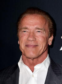 Arnold Schwarzenegger at the California premiere of "Sabotage."