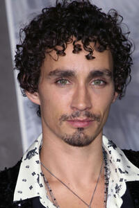 Robert Sheehan at the premiere of 'Mortal Engines' in Westwood, California.