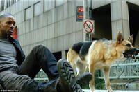 Will Smith in "I Am Legend."