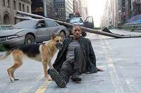 Will Smith in "I Am Legend."
