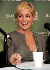 Sharon Stone at the 2008 Sundance Film Festival press conference for "The Year Of Getting To Know Us".