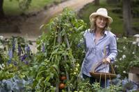 Meryl Streep as Jane in "It's Complicated."