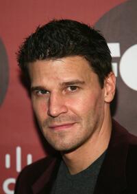 David Boreanaz at the Fox Fall Eco-Casino Party.