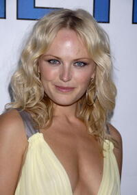 Malin Akerman at the Hollywood premiere of "The 11th Hour."