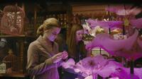 Emma Watson as Hermione Granger and Bonnie Wright as Ginny Weasley in "Harry Potter and the Half-Blood Prince."