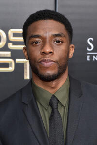 Chadwick Boseman at the New York premiere of "Gods of Egypt."