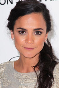 Alice Braga at the 20th Annual Elton John AIDS Foundation's Oscar Viewing Party in West Hollywood.