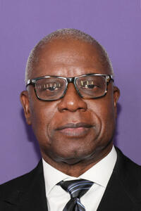 Andre Braugher at the red carpet event for "She Said" during the 60th New York Film Festival.