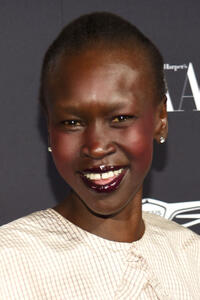 Alek Wek at the Hapers Bazaar "ICONS by Carine Roitfeld" event in New York City.