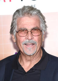 James Brolin at the New York premiere of "Sisters."
