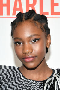 Demi Singleton at the "Godfather Of Harlem" New York screening.