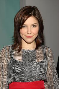 Sophia Bush at the Abaete Fall 2008 fashion show during the Mercedes-Benz Fashion Week Fall 2008.