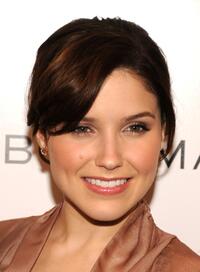 Sophia Bush at the BCBGMAXAZRIA Fall 2008 fashion show during the Mercedes-Benz Fashion Week Fall 2008.