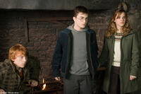 Rupert Grint, Daniel Radcliffe and Emma Watson in "Harry Potter and the Order of the Phoenix."
