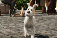 Snowy in ``The Adventures of Tintin.''