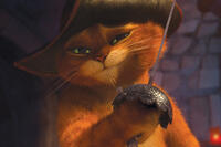 Puss in Boots in ``Puss in Boots.''