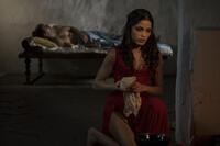 Freida Pinto as Phaedra in "Immortals."