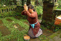 Gusti Kompiang Sari in ``Life in a Day.''