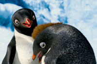 A scene from ``Happy Feet Two.''