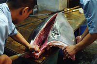 A scene from ``Jiro Dreams of Sushi.''