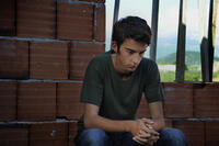 Tristan Halilaj as Nik in ``The Forgiveness of Blood.''