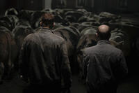 A scene from ``Bullhead.''