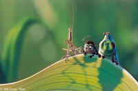 A scene from "A Bug's Life."