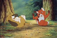 A scene from the film "The Fox and The Hound."