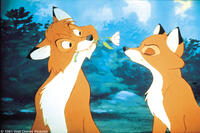 A scene from the film "The Fox and The Hound."